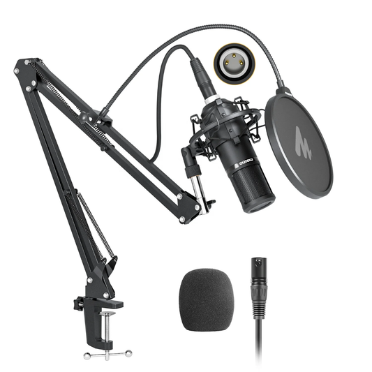 ENSEMBLE MICROPHONE PROFESSIONNEL – SON CLAIR & PUISSANT