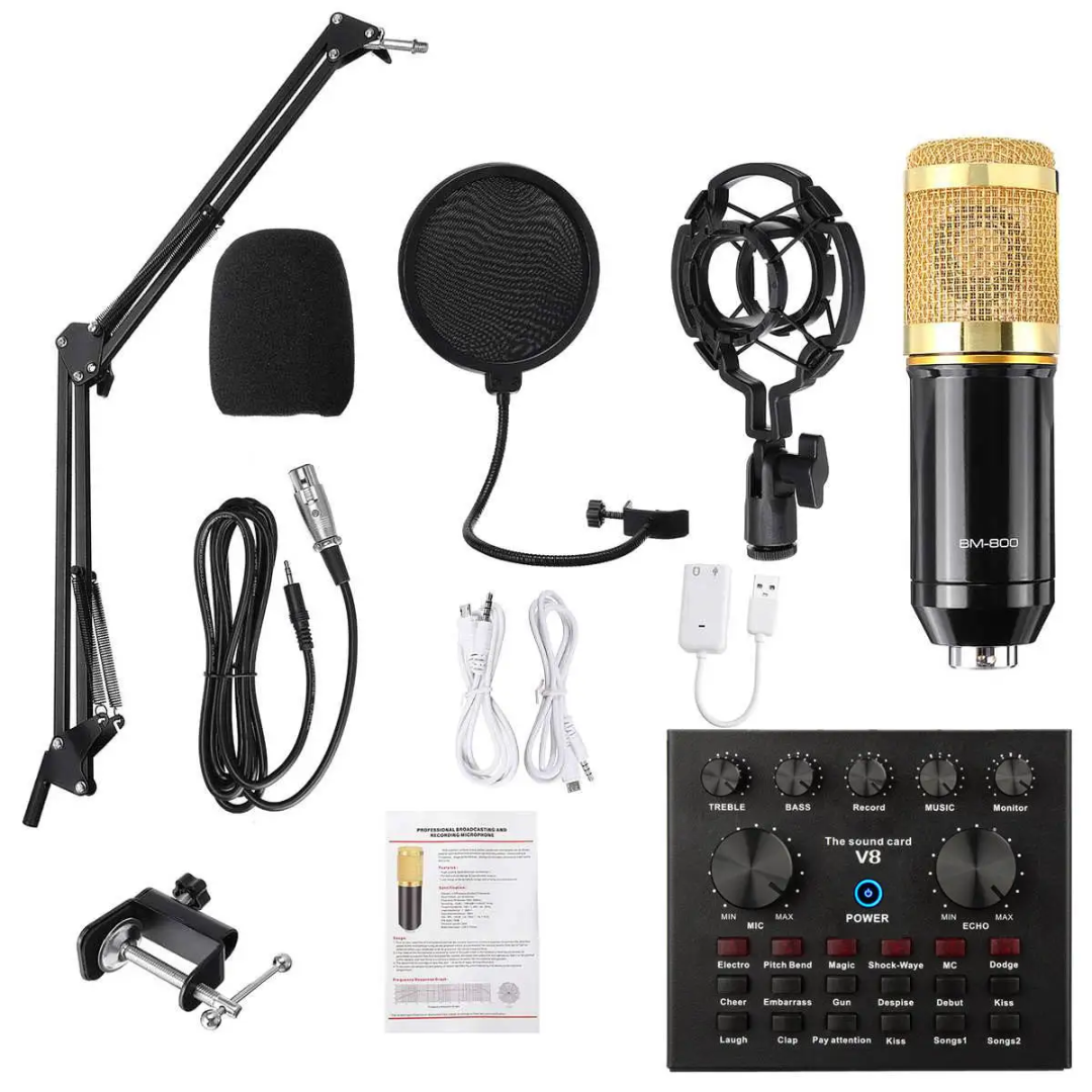 ENSEMBLE MICROPHONE PROFESSIONNEL – SON CLAIR & PUISSANT