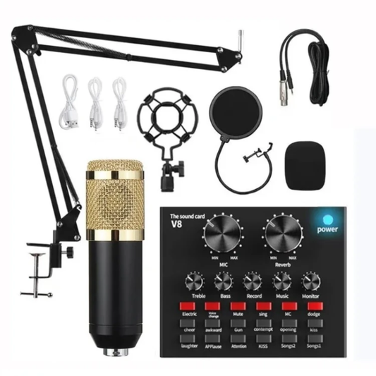 ENSEMBLE MICROPHONE PROFESSIONNEL – SON CLAIR & PUISSANT